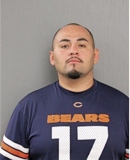 LUIS G CORONEL, Cook County, Illinois