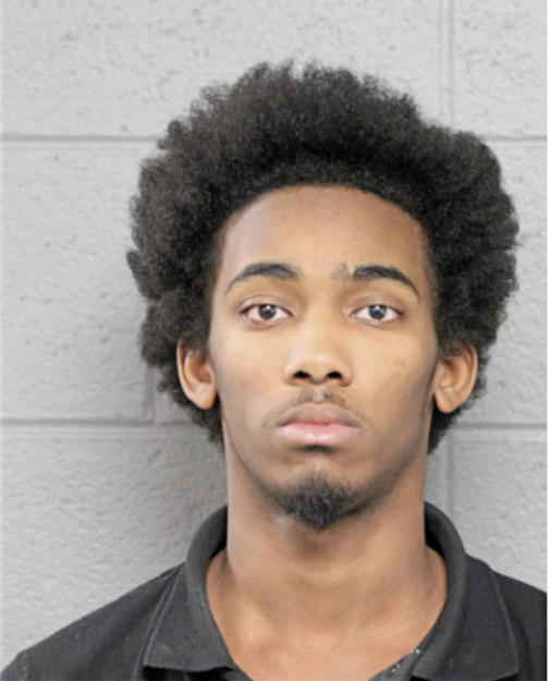 CHRISTOPHER A CRITTENDON, Cook County, Illinois