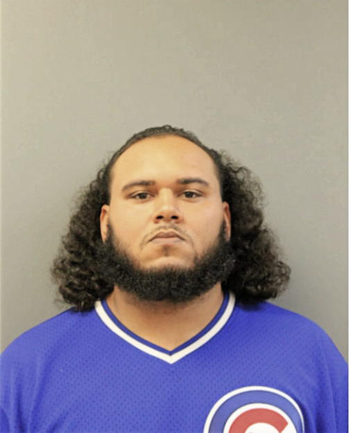 BRANDON K CUNNINGHAM, Cook County, Illinois