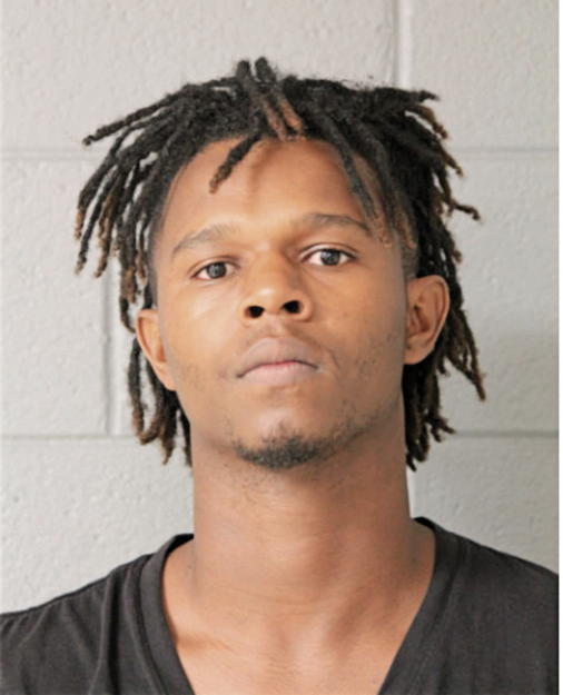 SHAWN E DOBBINS, Cook County, Illinois