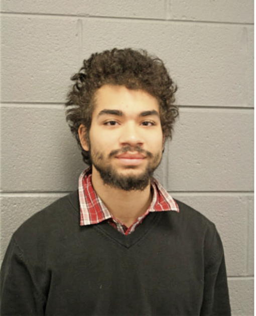 JOSHUA ECHEVARRIA, Cook County, Illinois