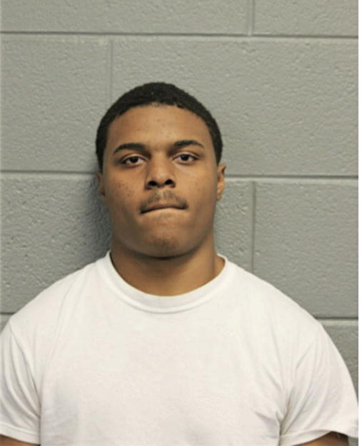 LOUIS J EVANS, Cook County, Illinois