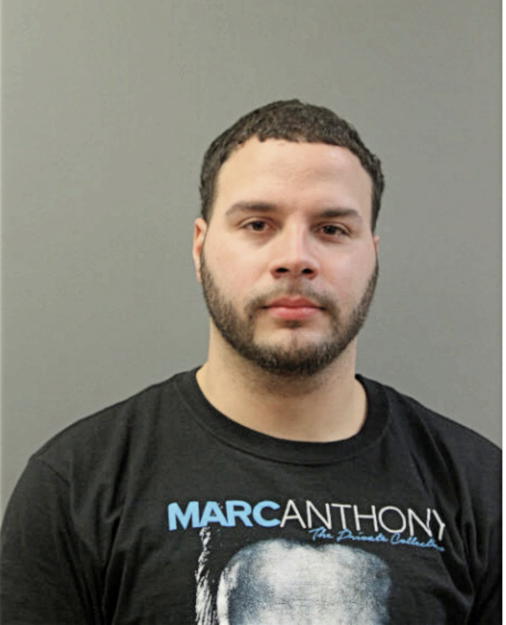 JOHNNY FONSECA, Cook County, Illinois