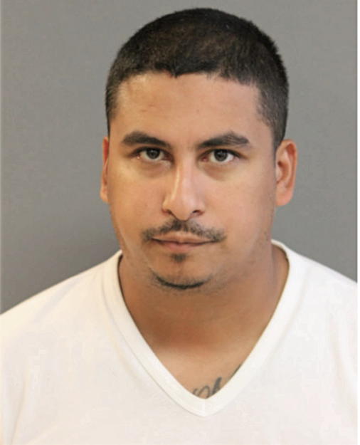 CARLOS GARCIA, Cook County, Illinois