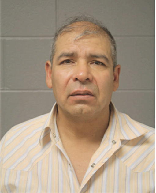 SERGIO O GOMEZ, Cook County, Illinois