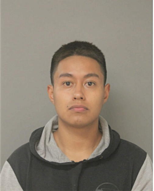 LUIS G GONZALEZ PEREZ, Cook County, Illinois
