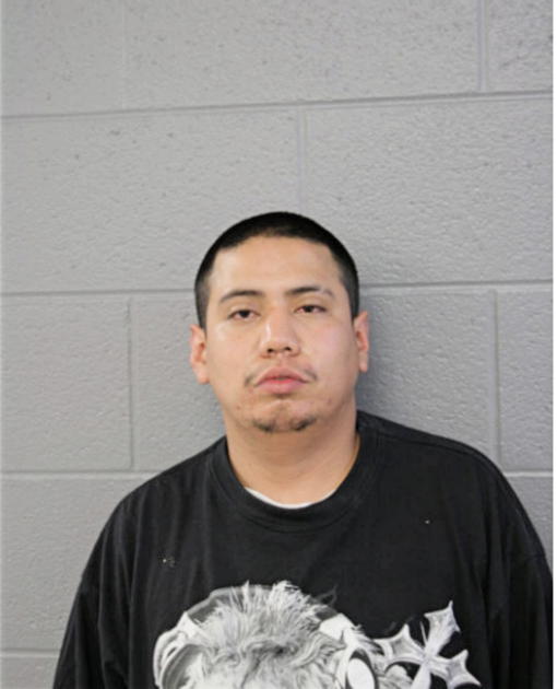 RICARDO GONZALEZ, Cook County, Illinois