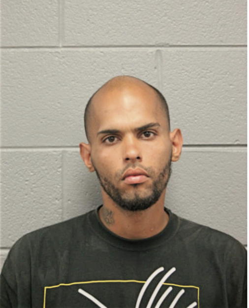 WESLLEY D HERNANDEZ-DELGADO, Cook County, Illinois