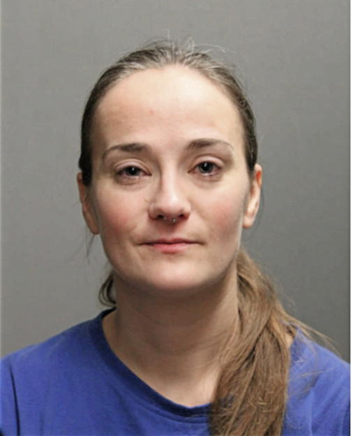 ANNA M HURRLE, Cook County, Illinois