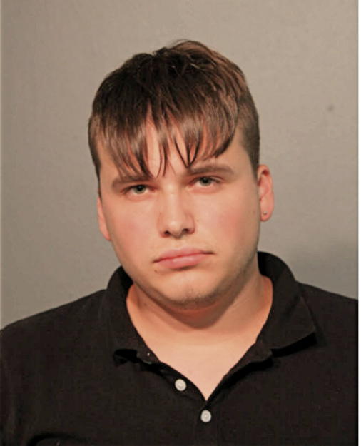 ROMAN IVANOV, Cook County, Illinois