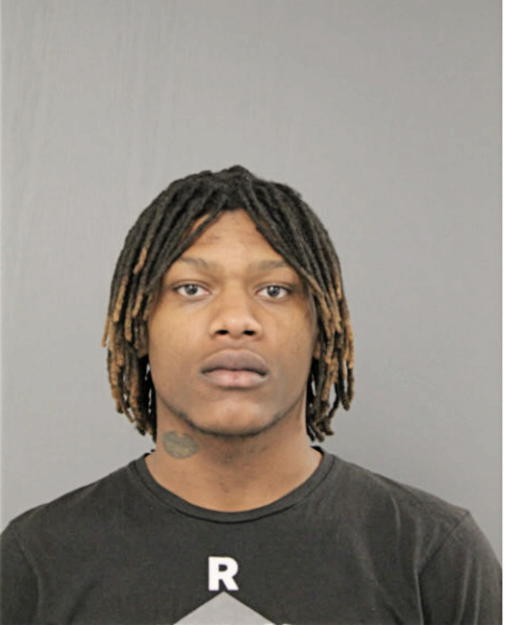 TIEDES L JACKSON, Cook County, Illinois