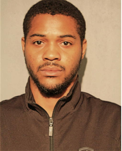 DENNIS L JOHNSON, Cook County, Illinois
