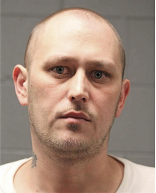 DAVID E KOSEK, Cook County, Illinois