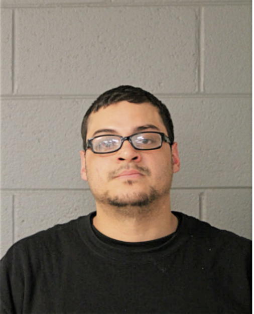 MICHAEL R LOVERING, Cook County, Illinois