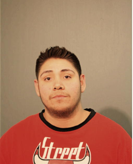 MIGUEL A MARTINEZ-ARELLANO, Cook County, Illinois