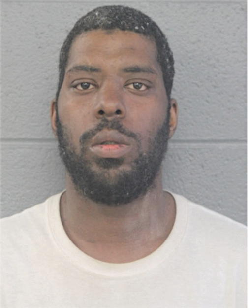 DONIELLE A MITCHELL, Cook County, Illinois