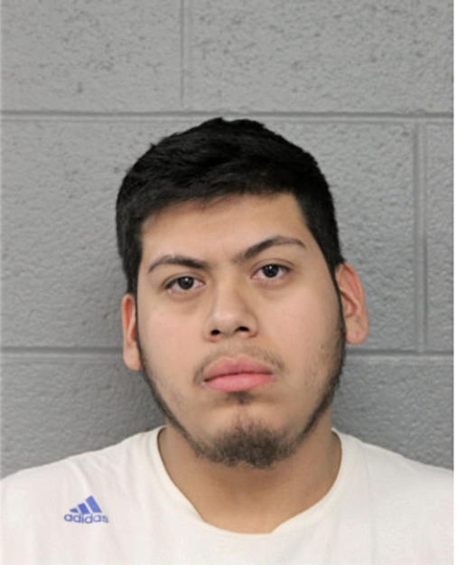 LUIS J MUNOZ, Cook County, Illinois