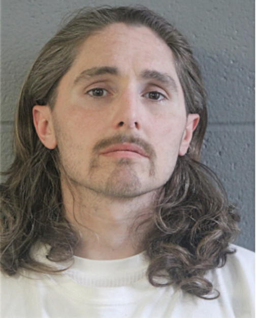 EVAN C NICKOLAOU, Cook County, Illinois