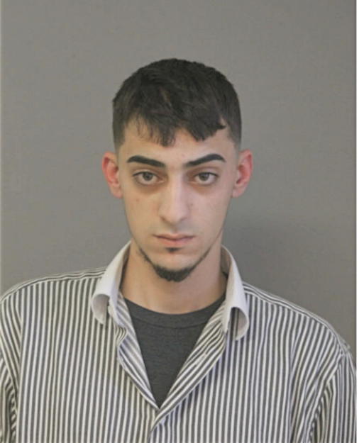OMAR N OTHMAN, Cook County, Illinois