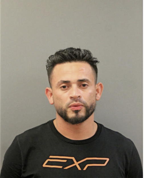 JOSE D PORTILLO, Cook County, Illinois