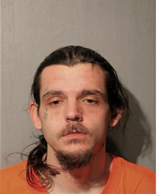 DAVID E POTACZEK, Cook County, Illinois