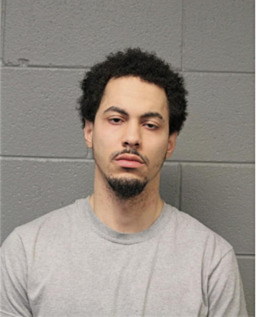 JAMIE L PURCHES, Cook County, Illinois