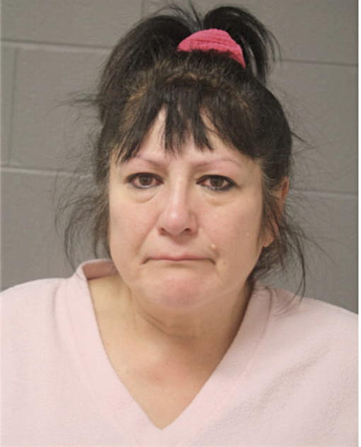 TERRI REBOLLOSO, Cook County, Illinois