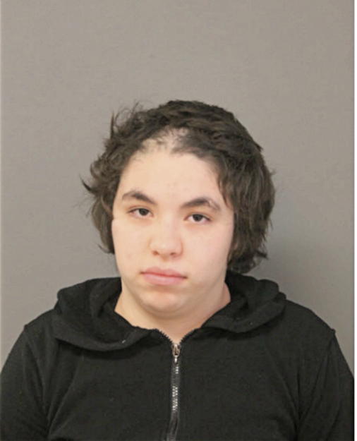 DIANA RIOS, Cook County, Illinois