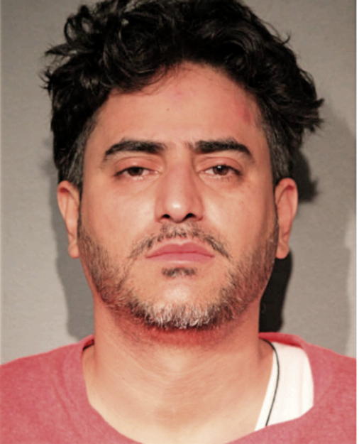 LUIS A RODRIGUEZ, Cook County, Illinois