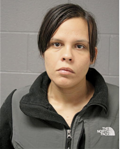 ERICA A ROSALES, Cook County, Illinois