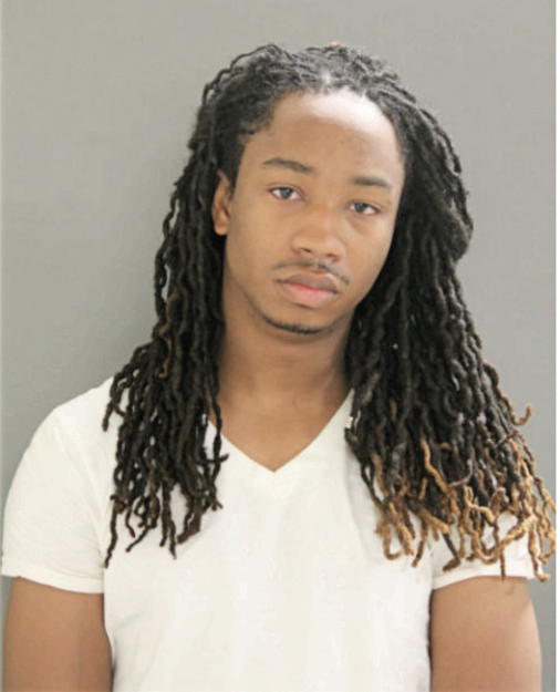 MICHAEL E SHAW, Cook County, Illinois