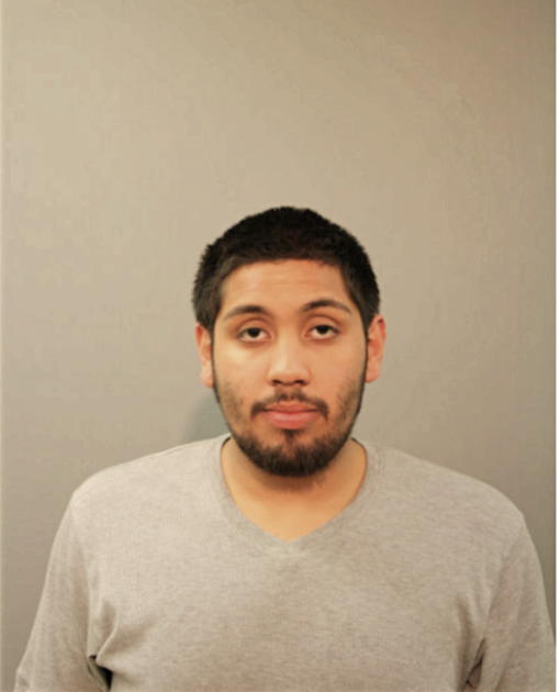 JOSEPH SILVA, Cook County, Illinois