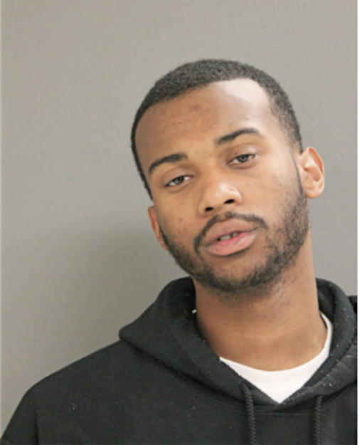 TERRY L STEPHENS, Cook County, Illinois