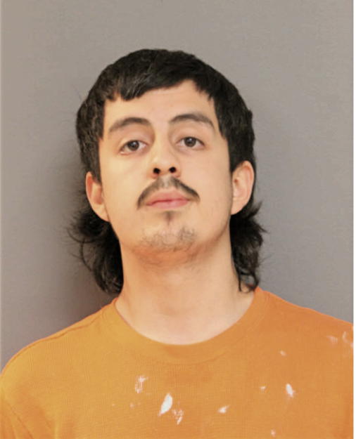 JORGE O VILLEGAS, Cook County, Illinois