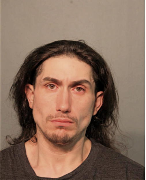 DAVID D DIAZ, Cook County, Illinois
