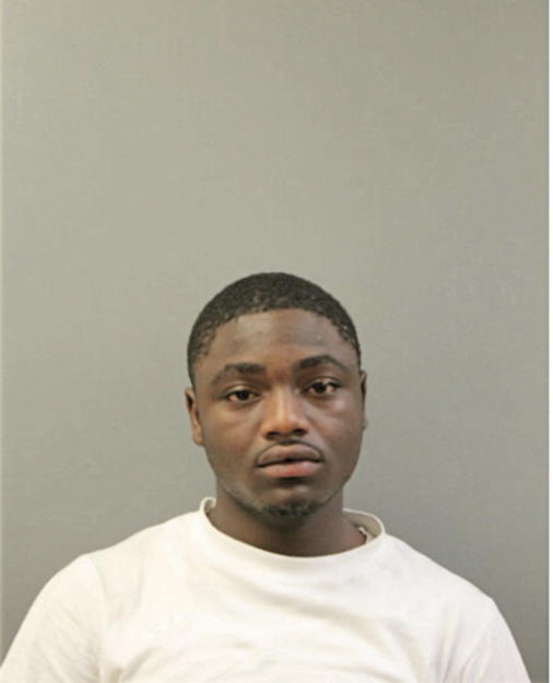 CHRISTOPHER N ELLIS, Cook County, Illinois