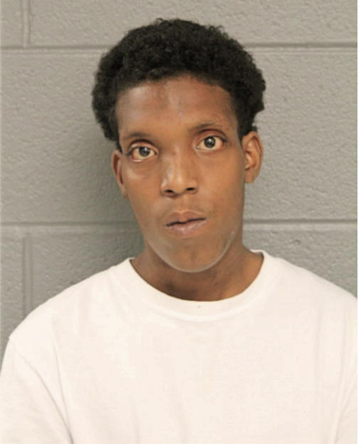 ROBERTO J HALL, Cook County, Illinois