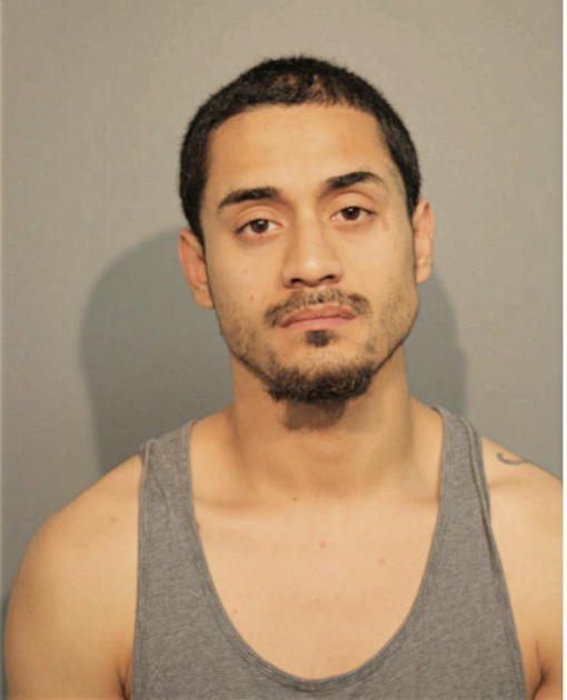 BALTAZAR J HERNANDEZ, Cook County, Illinois