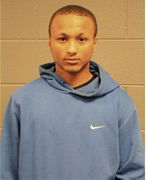 LEON T HOLTON, Cook County, Illinois