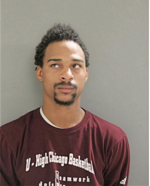 BRANDON J LYLES, Cook County, Illinois