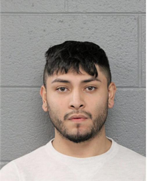 DAVID MALAGON-PRIETO, Cook County, Illinois