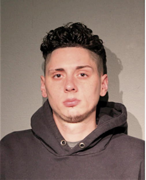 MICHAEL J MCGUE, Cook County, Illinois