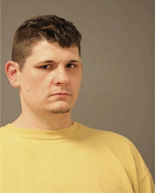 BRANDON M METHENY, Cook County, Illinois