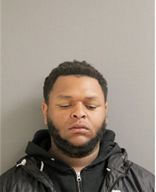 TOBY M NEWBERN, Cook County, Illinois