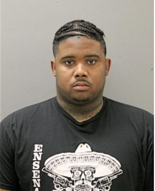 LYNDELL L NICHOLSON, Cook County, Illinois