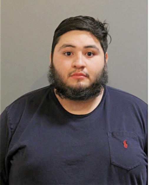 NICHOLAS A QUESADA, Cook County, Illinois