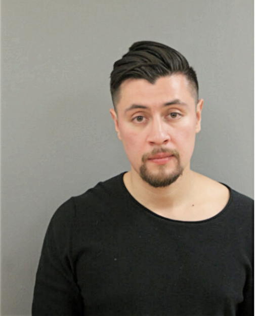 IRVING A ROBLES, Cook County, Illinois
