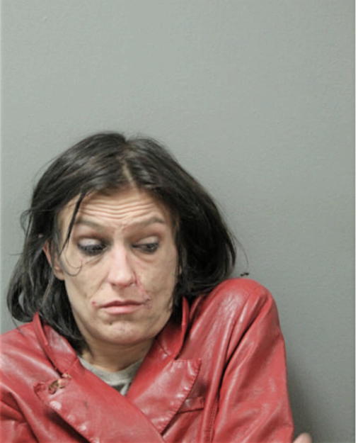 NICOLE L SNELSON, Cook County, Illinois