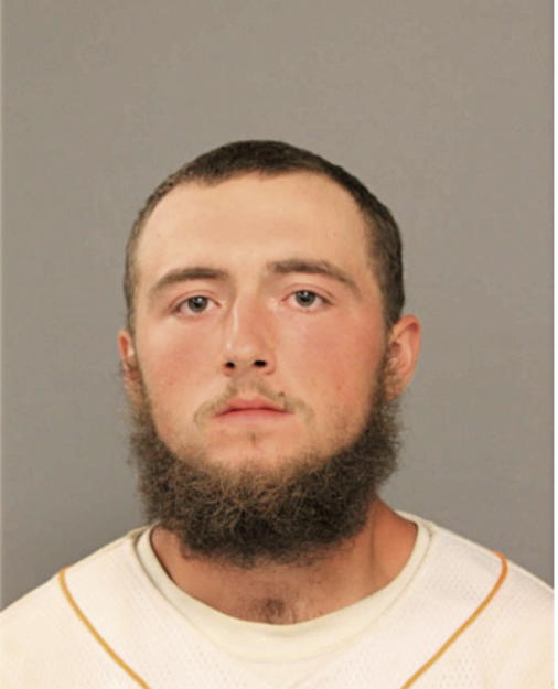 JOSHUA MICHAEL SWANN, Cook County, Illinois