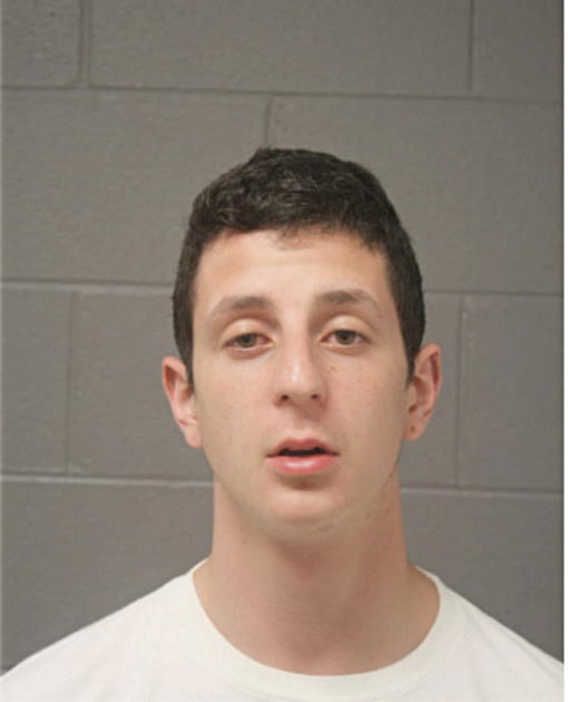 ANTHONY P VILCHES, Cook County, Illinois